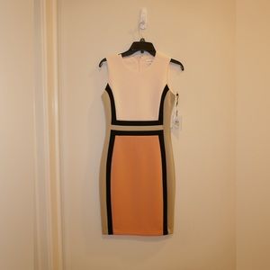 Calvin Klein Bodycon Colorblock Sleeveless Midi Dress NWT, size 4, never worn